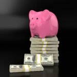 CARBON LOAN APPS FOR FINANCIAL INCLUSION: 5 BEST THING YOU NEED TO KNOW ABOUT USING